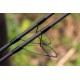 Avid Carp React 10ft 3,00lbs Rute