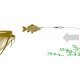 MadCat Adjusta Basic River Rig - Livebait 60G