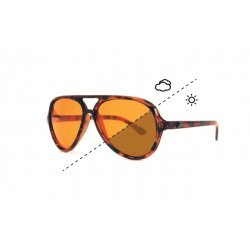 Fortis Eyewear Sunglasses Aviator Switch