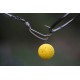 Korda Kickers D Rig Braun Klein