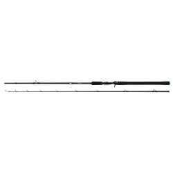 Salmo Trollmaster 240cm 40-60g 2pc