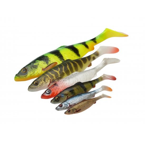 4D PERCH SHAD BULK