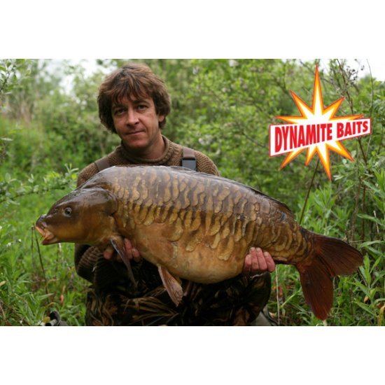 Dynamite Squid and Octopus Boilies 15mm 1kg