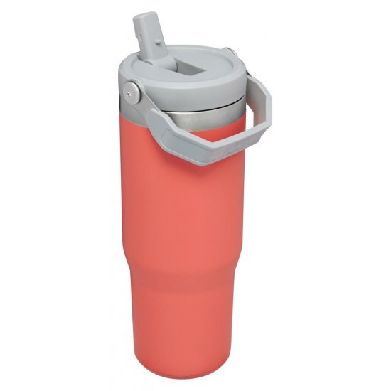 Stanley The IceFlow Trinkhalm Trinkbecher Guave 0,89 l