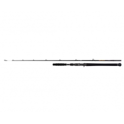 Shimano Beastmaster AX Catfish Casting Vertikal 1,85 m 200 g 1+1 Stk