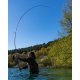 Fox Eos Pro Rod 10ft 3.5lb 2pc