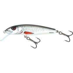 Salmo Minnow Floating 7cm Dace